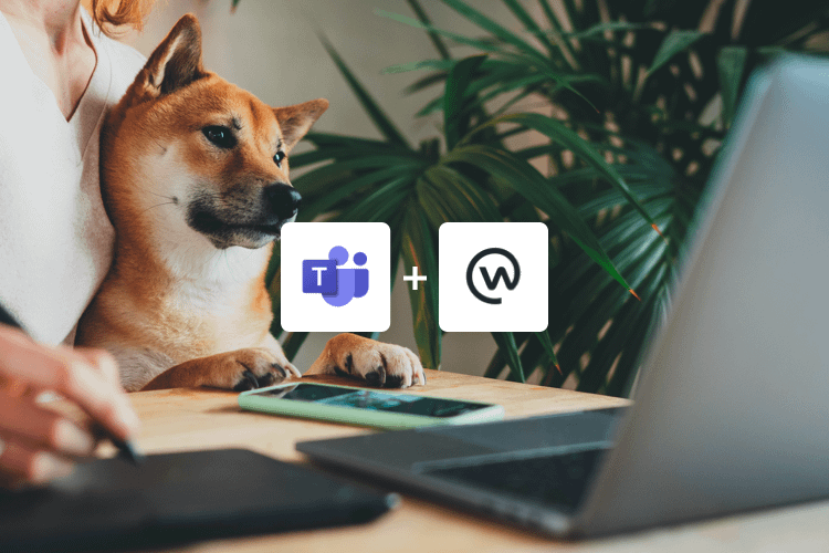 Why you should be using Microsoft Teams and Workplace from Meta together