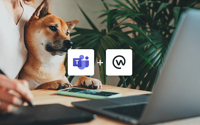 Why you should be using Microsoft Teams and Workplace from Meta together
